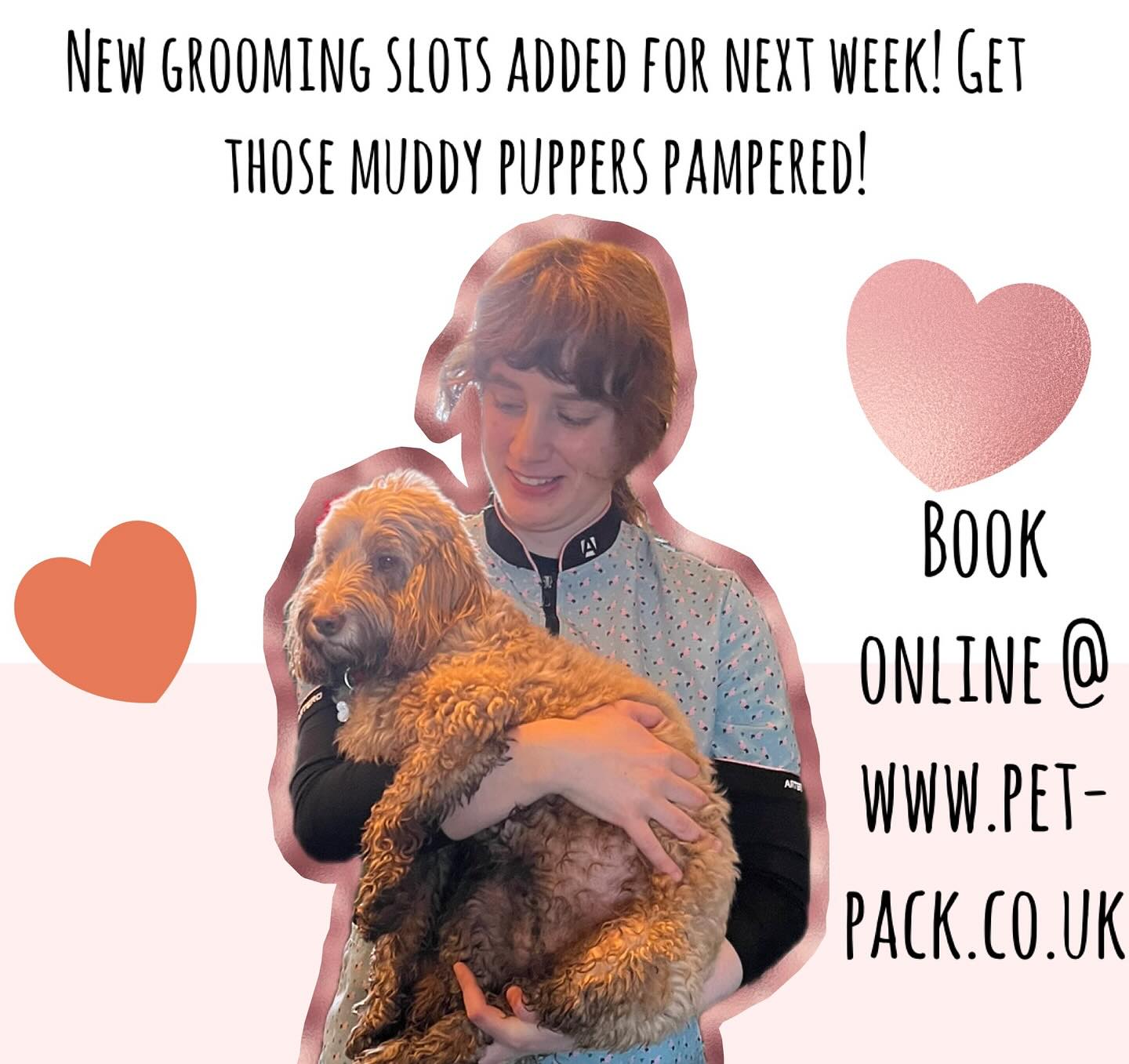 More appointments available online now! #londondogs #greenwichdogs #lewishamdogs #bromleydogs #groveparkse12 #manorparkdogs #southlondondogs #se12 #doggroominguk