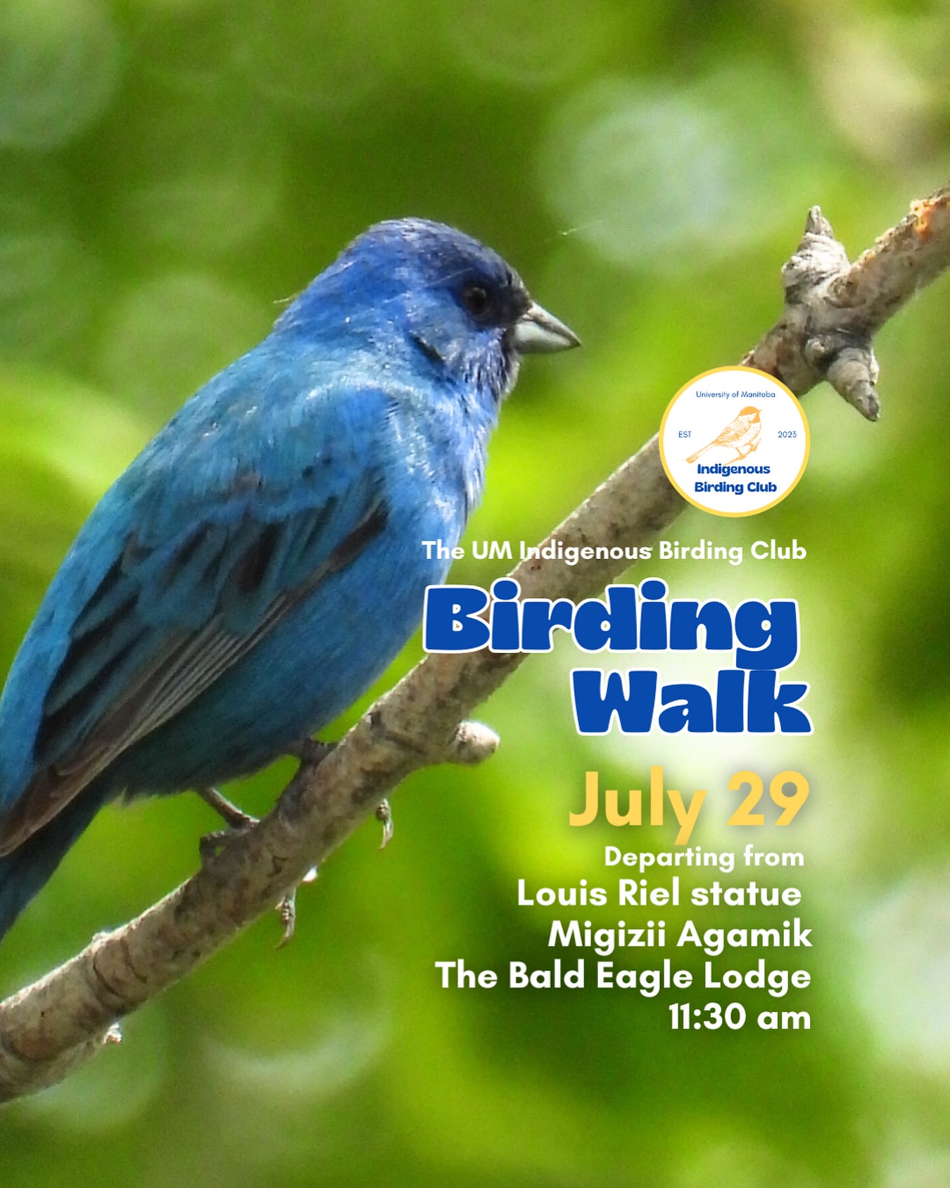 Update: July 29, 2025, 9:20 am, Unfortunately, today’s walk is officially cancelled because of the smoke. We will monitor the conditions and we hope to possibly hold another walk this week if the air quality improves.
Stay tuned.
———————-
Join us on July 29 for a relaxed, 1.5-hour birding walk that begins at Migizii Agamik – The Bald Eagle Lodge. We’ll gather at 11:20 am by the Louis Riel statue, with the walk starting promptly at 11:30 am. The walk will take us to King’s Park, or another nearby location, at a leisurely pace, allowing us to enjoy the sights along a mix of pavement, grass, dirt, and gravel paths. The terrain is mostly flat, with just a few gentle slopes.
These walks are open to BIPOC (Black, Indigenous, and People of Colour) folks and allies who share our belief that birding is for everyone, regardless of experience. Whether you’re new to birding or a seasoned enthusiast, we welcome you to join. Just dress for the weather and be sure to bring sunscreen and water. If you don’t have your own binoculars, we have some available to borrow.
Our walks are an opportunity to connect with nature, build community, and learn from one another in a relaxed and supportive environment. Feel free to participate at your own pace — there’s no need to stay with the group the entire time, and you’re welcome to come and go as you please.
Accessibility Information:
The walk covers a variety of paths, including pavement, grass, dirt, and gravel, with mostly flat terrain and a few gentle slopes.
Washrooms are available approximately halfway along the walk.
If you need assistance or have specific accessibility requirements, please let us know in advance so we can do our best to accommodate you.
Parking:
Please note there is NO free parking on campus M-F from 8:30 AM to 4:30 PM. Parking is available for a fee in the Parkade and at metered spaces for a fee.
We look forward to seeing you there!
Photo: @justinleerasmussen
@umindigenous @umanitoba @umstudent @umisacouncil @um_metis @musaumanitoba