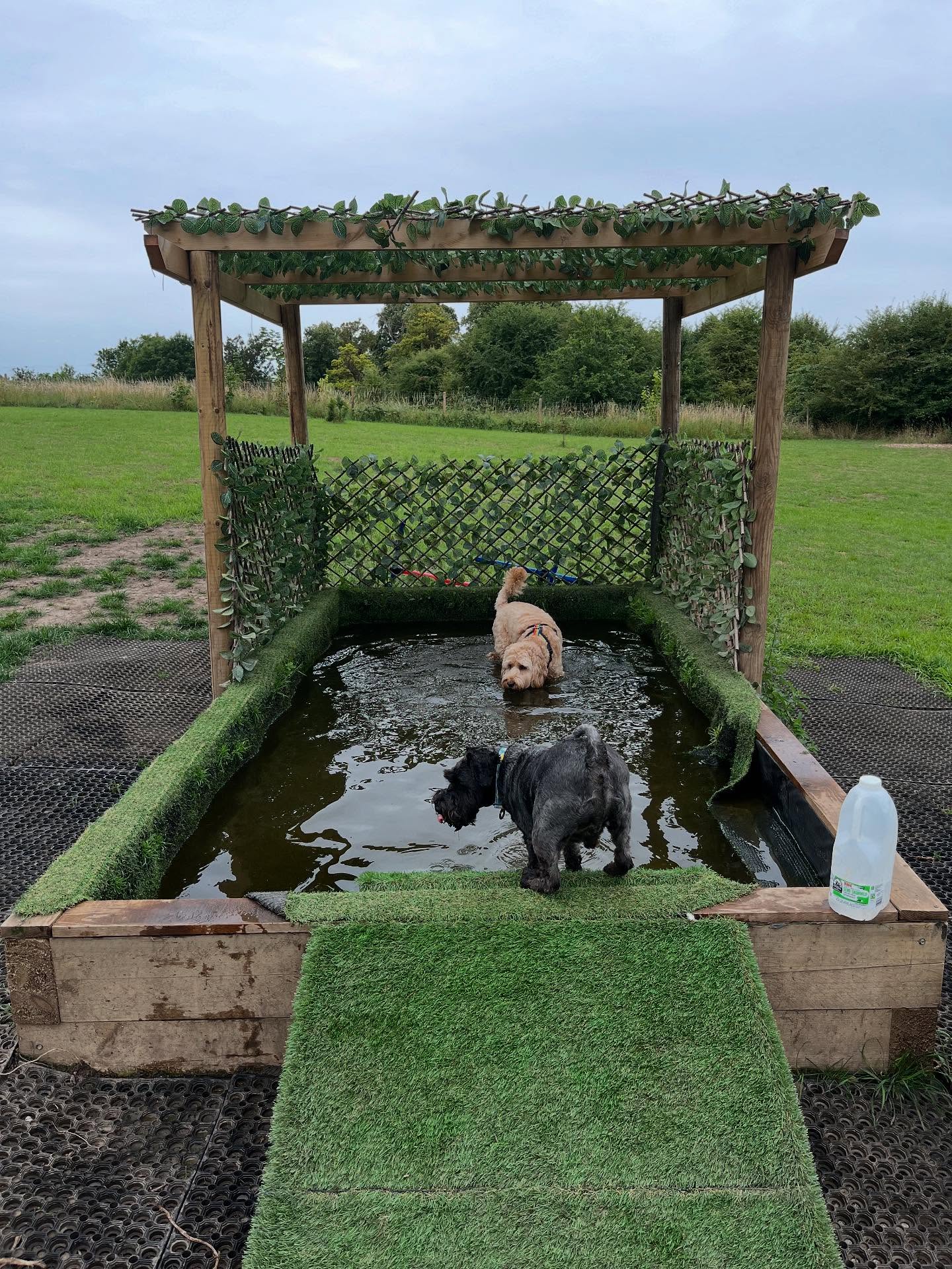 Splashy fun @allseasons_pawpark