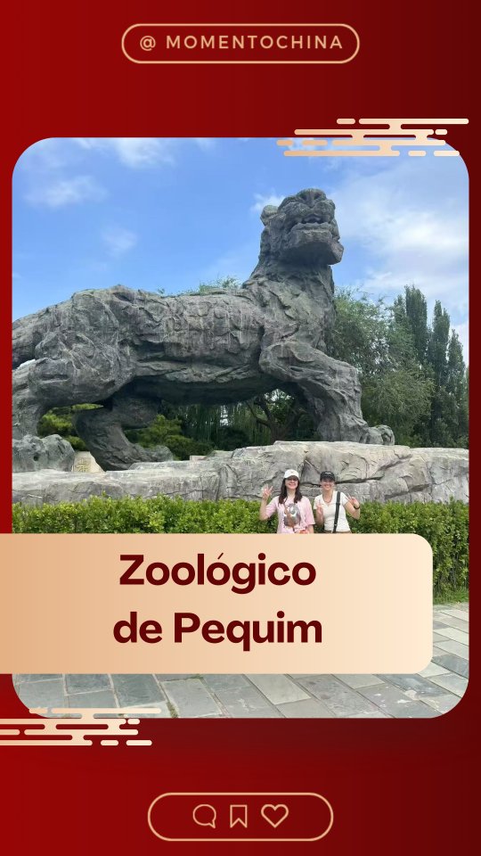 Como estão os animais do Zoológico de Pequim durante as fortes ondas de calor na China? 🐻❄️
Edição: Valentina Curi Hage - @valentinacurihage
#china #momentochina #mandarim #chinês #viagem #usp