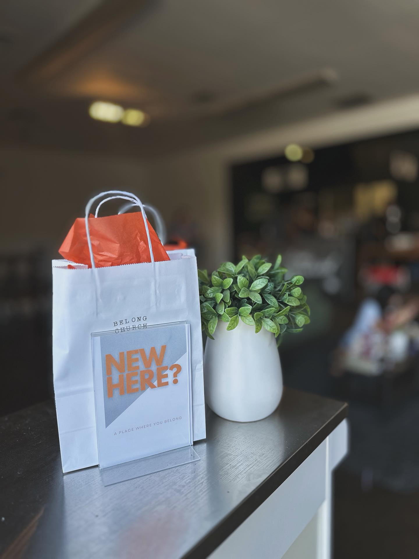 Join us this Sunday at Belong Church as we continue our journey through Luke Chapter 1, a powerful start to the story of Jesus that reminds us of God’s faithfulness and purpose in every season.
It’s the perfect time to bring a friend, lean into Scripture, and be encouraged together.
🕥 Sunday | 10:30 AM
📍 Belong Church
There’s a place for you here, we can’t wait to see you!