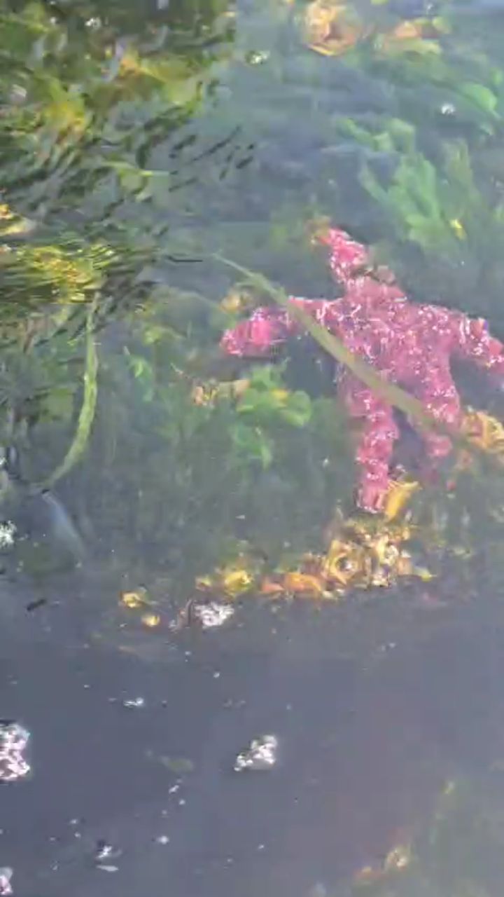 Slowing down, taking time for yourself and doing the things you love is all it takes to achieve work/life balance.
Finding the perfect balance will help you be more productive and see results, because your cup is full.