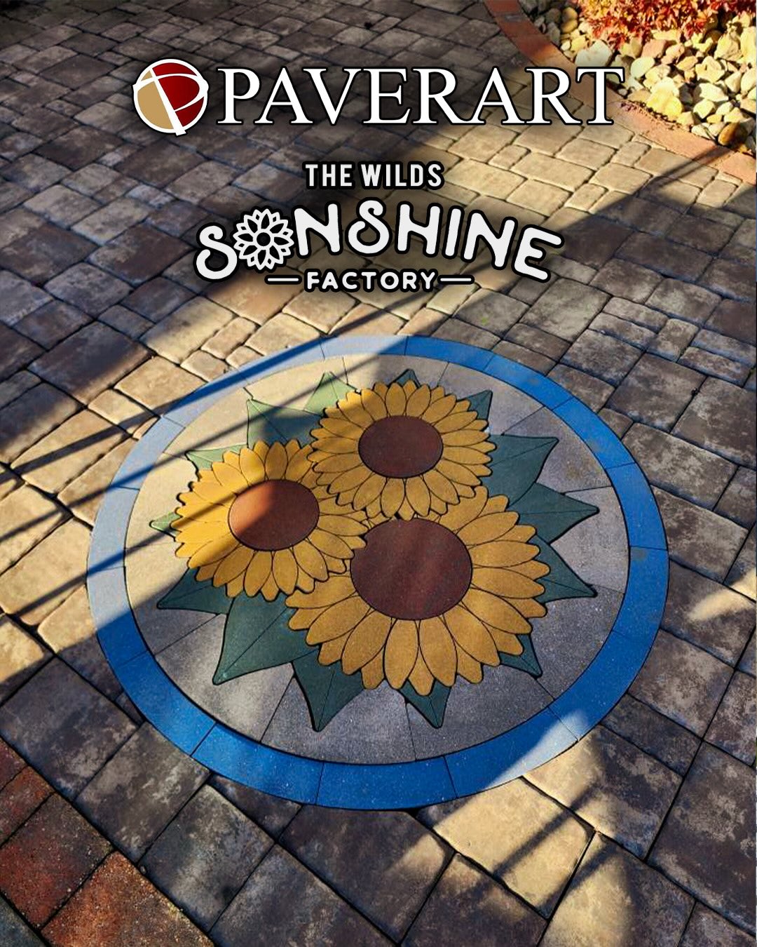 Sunshine belongs here.
Custom sunflower set into the courtyard at The Sonshine Factory in Kane, PA.
#patio #patiodesign