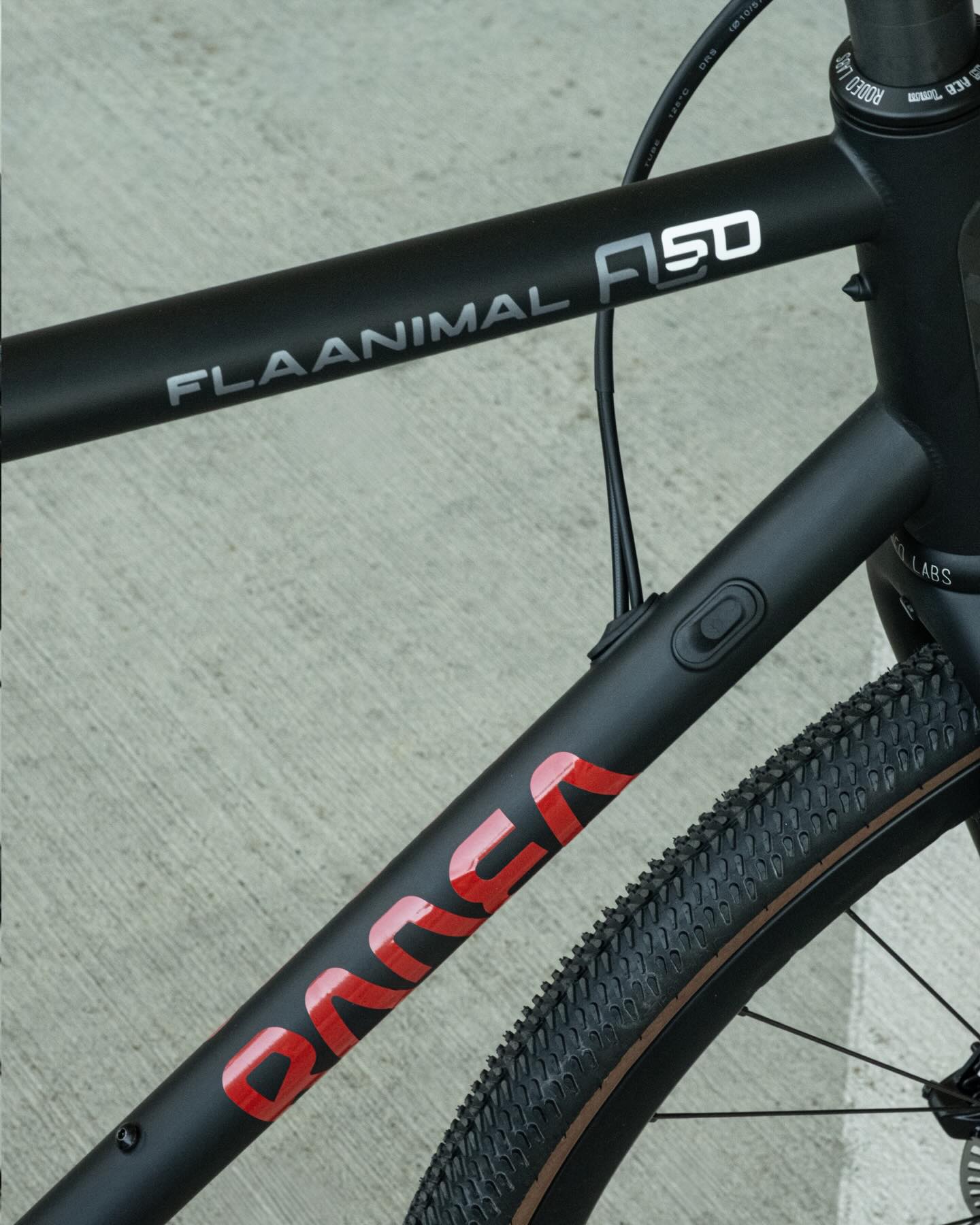 Up in the Ready To Roll section of our site today: this 58cm Flaanimal 5.0 Ad Astra build. It’s specced to the nines for living its best gravel centric life, while retaining the capability to ride through moon dust if that’s where your heart takes you. Drivetrain duties are handled by Campagnolo Ekar. It rolls on our 2.0 carbon rims, hand laced to 3.0 hubs. Schwalbe G-One tires are highly regarded for their low rolling resistance and excellent traction. The one-off Ad Astra decal sets this Flaanimal apart just that much more. 58cm Rodeos best fit riders 6’0” to 6’2”. As always, our ready to roll bikes are offered at special pricing because we build em the way we like with parts that we have in stock. Available to ship now. Find it at rodeo-labs.com / ready to roll, or link in insta bio.
#gravelbike
#flaanimal
#rodeospork
#rodeowheels