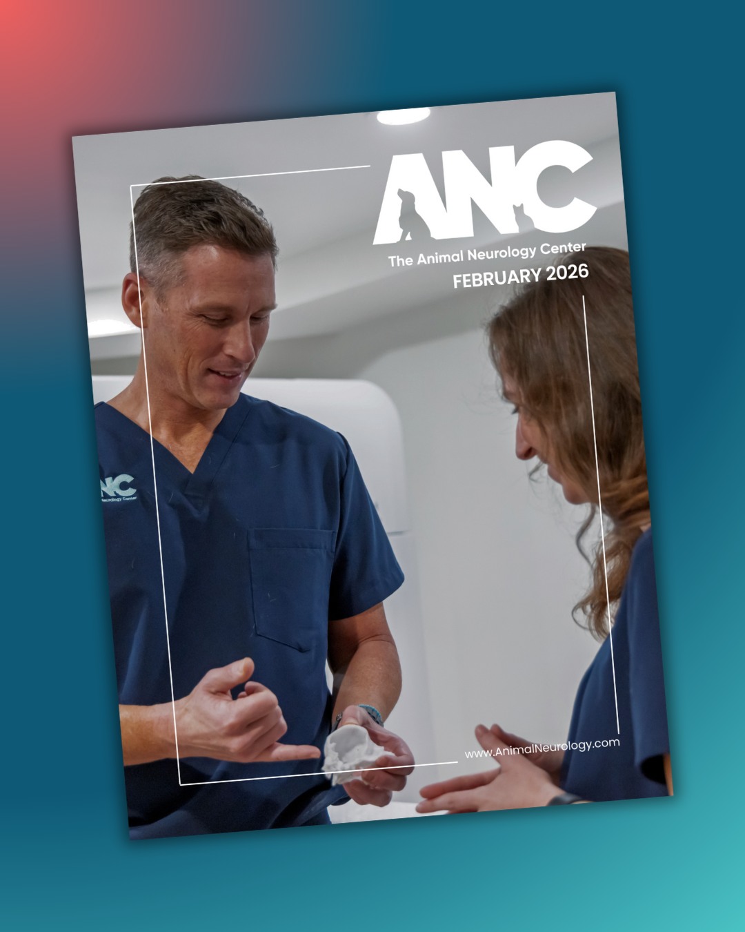 🚨 New Newsletter Alert! 🚨
We’re excited to share our February 2026 newsletter with you! In this edition, we reflect on our core values, celebrate patient success stories, and showcase the work of our incredible team. Plus, get the latest on upcoming events and opportunities to engage with us in the veterinary community!
👉 Read the full newsletter here and subscribe to get it straight in your inbox-- link in bio!